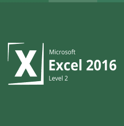 Microsoft Office Excel Level 2