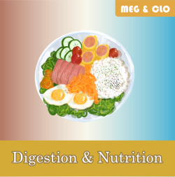 Digestion-Nutrition-Course img