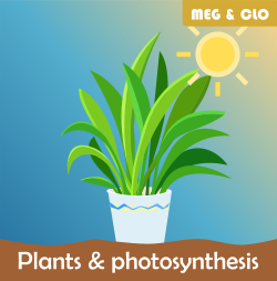 Plants and photosynthesis-Course img